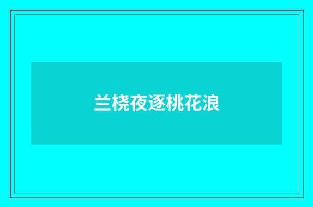兰桡夜逐桃花浪