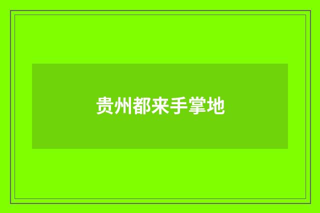 贵州都来手掌地