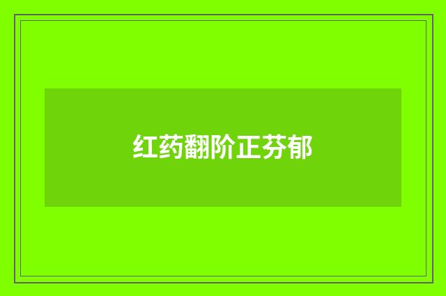 红药翻阶正芬郁
