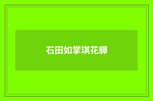 石田如掌琪花軃
