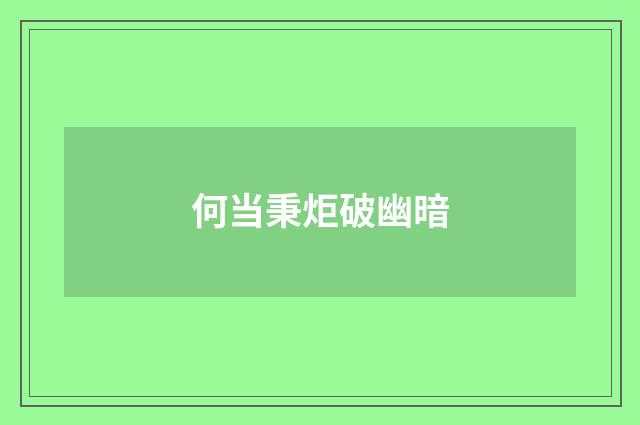 何当秉炬破幽暗