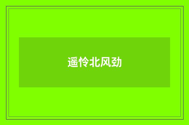 遥怜北风劲