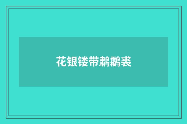 花银镂带鹔鹴裘
