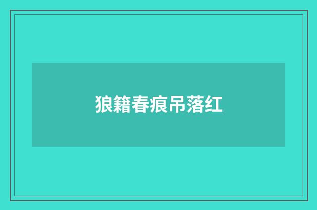 狼籍春痕吊落红