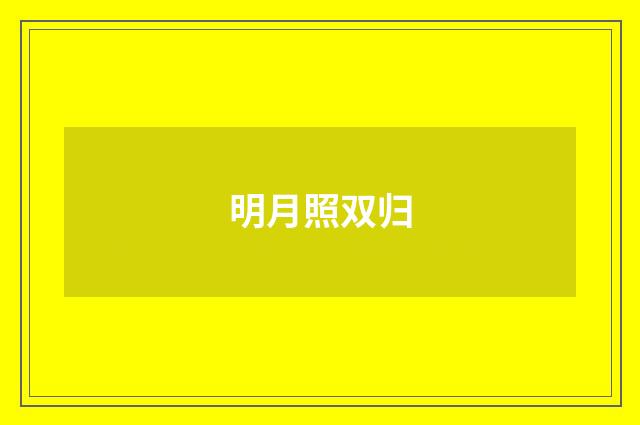 明月照双归