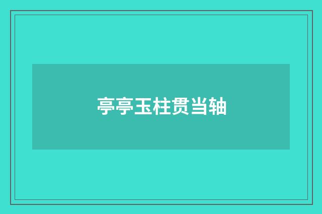 亭亭玉柱贯当轴