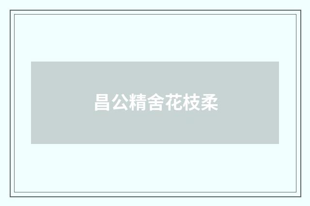 昌公精舍花枝柔