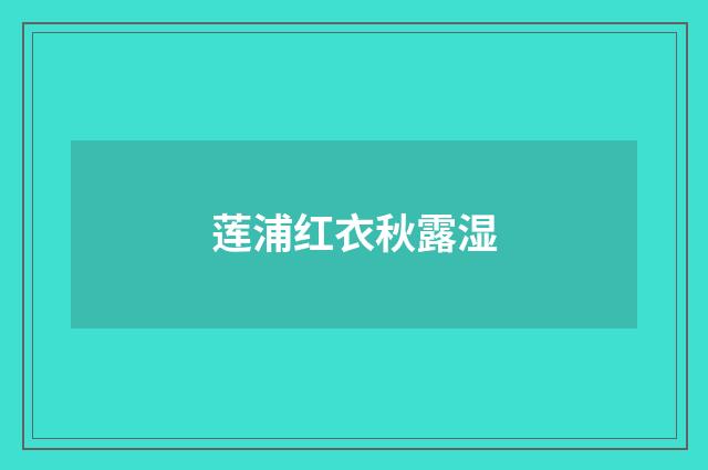 莲浦红衣秋露湿