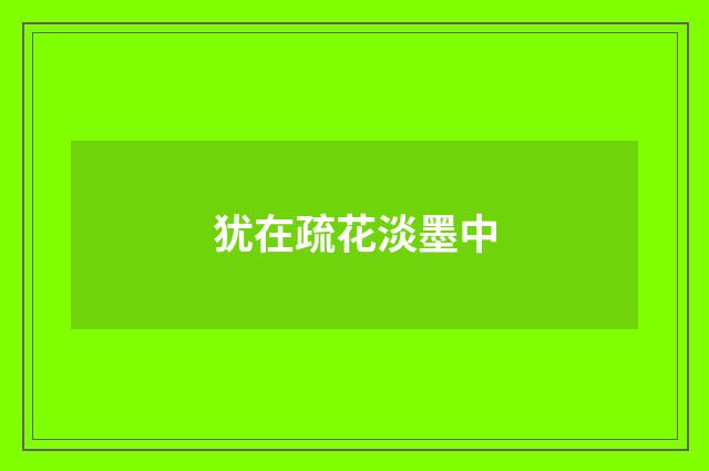 犹在疏花淡墨中