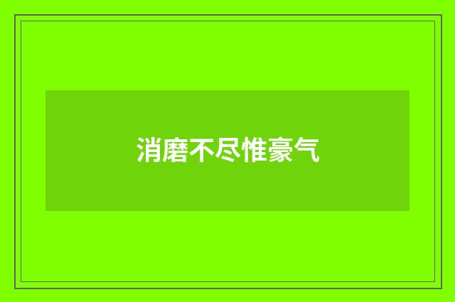 消磨不尽惟豪气