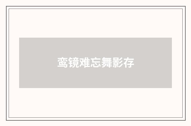 鸾镜难忘舞影存