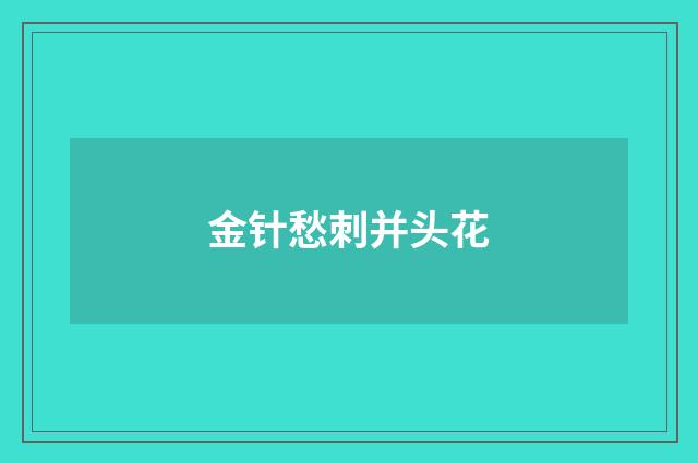 金针愁刺并头花