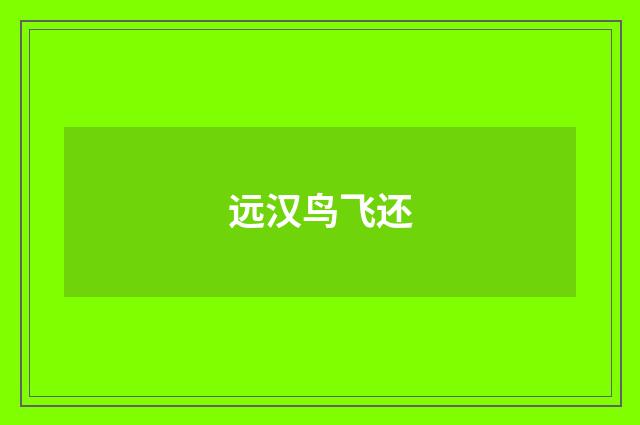 远汉鸟飞还