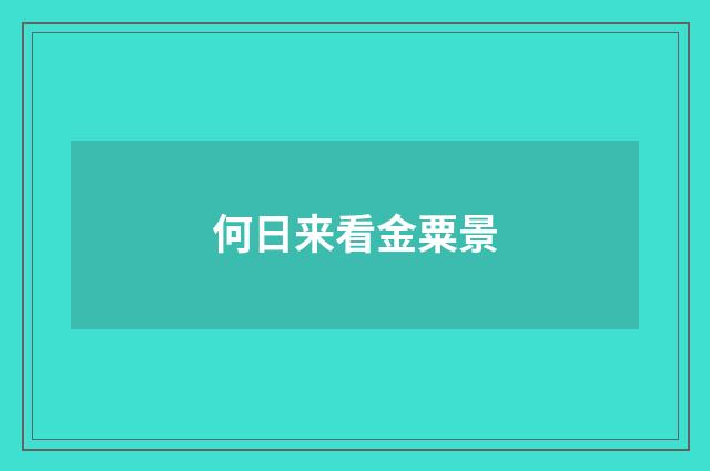 何日来看金粟景