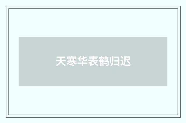 天寒华表鹤归迟