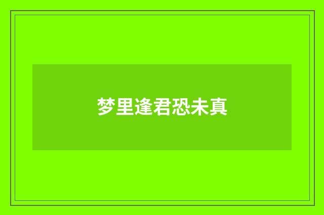 梦里逢君恐未真
