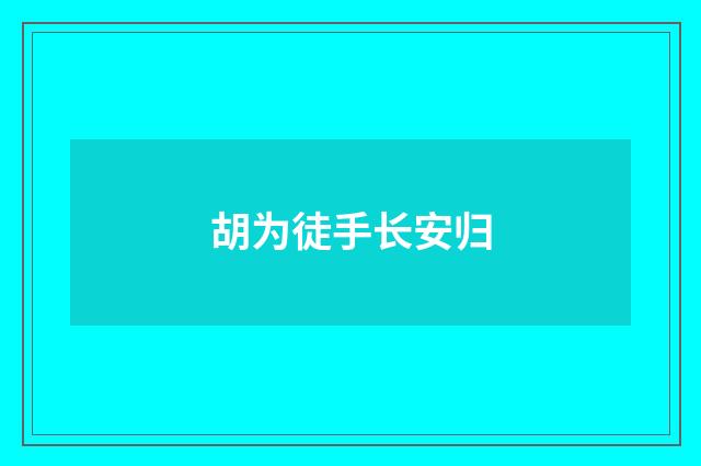 胡为徒手长安归