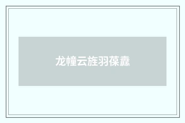 龙幢云旌羽葆纛