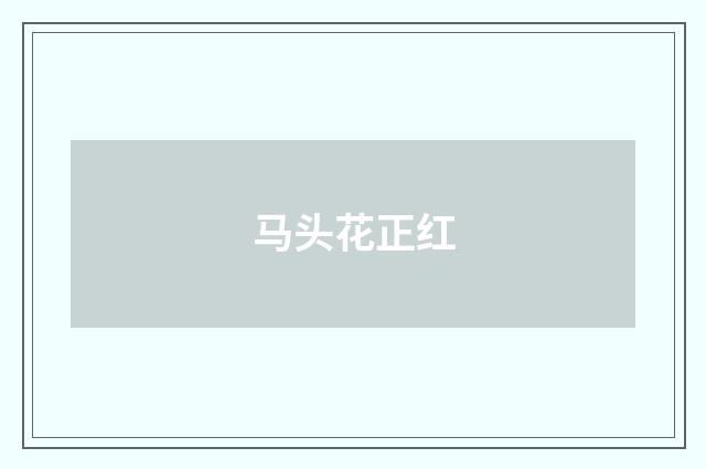 马头花正红