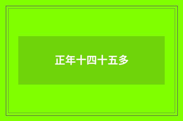 正年十四十五多