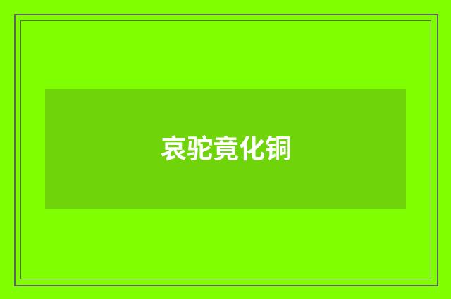 哀驼竟化铜