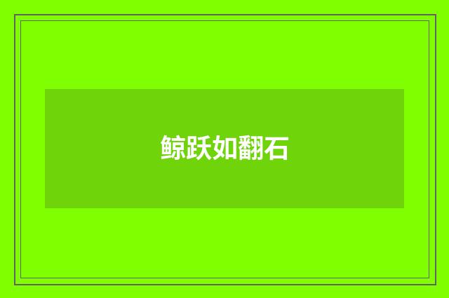 鲸跃如翻石