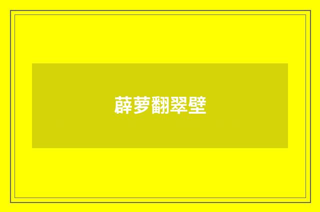 薜萝翻翠壁