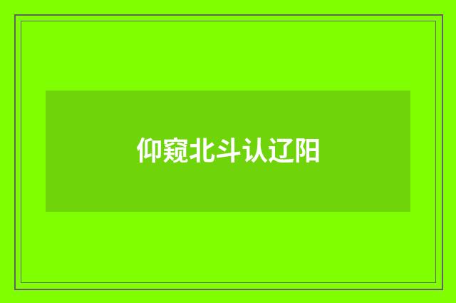 仰窥北斗认辽阳