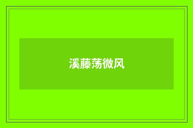 溪藤荡微风