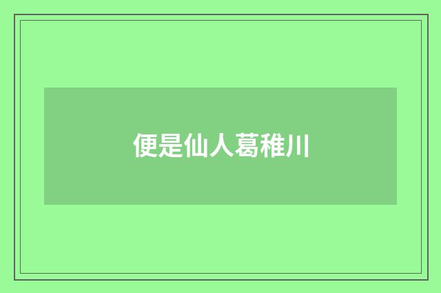 便是仙人葛稚川