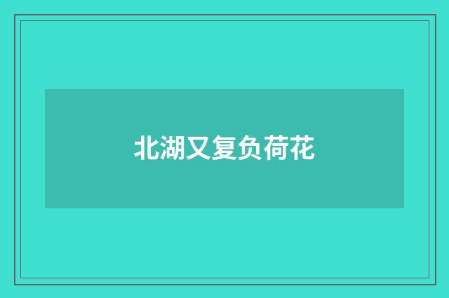 北湖又复负荷花