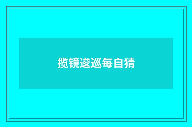 揽镜逡巡每自猜