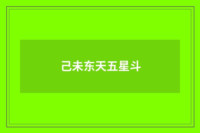 己未东天五星斗