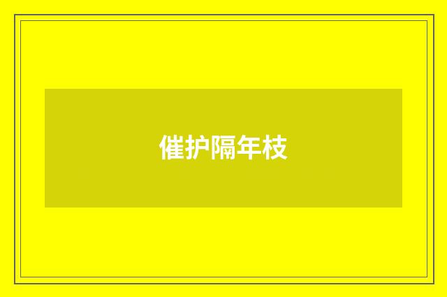 催护隔年枝
