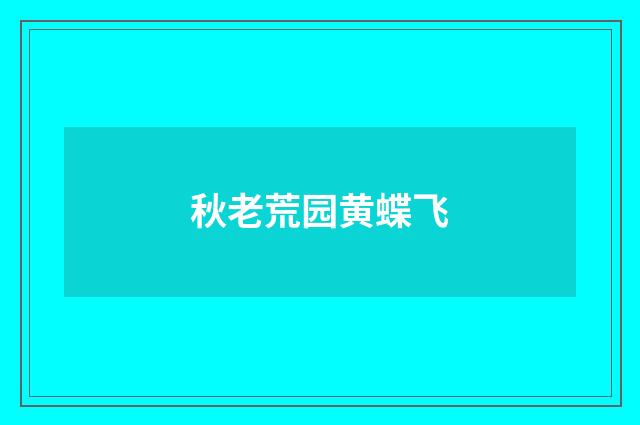 秋老荒园黄蝶飞