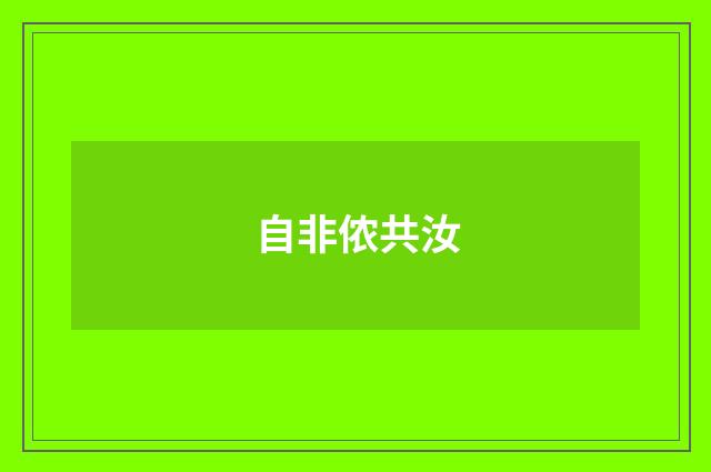 自非侬共汝