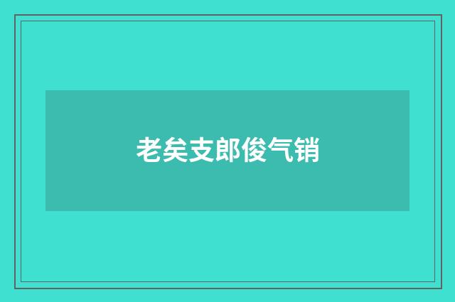 老矣支郎俊气销