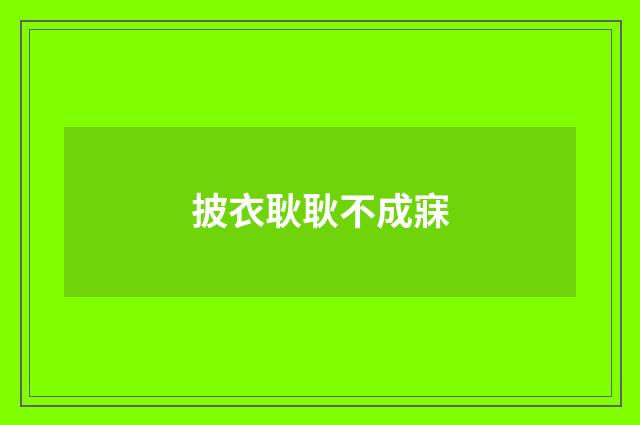 披衣耿耿不成寐