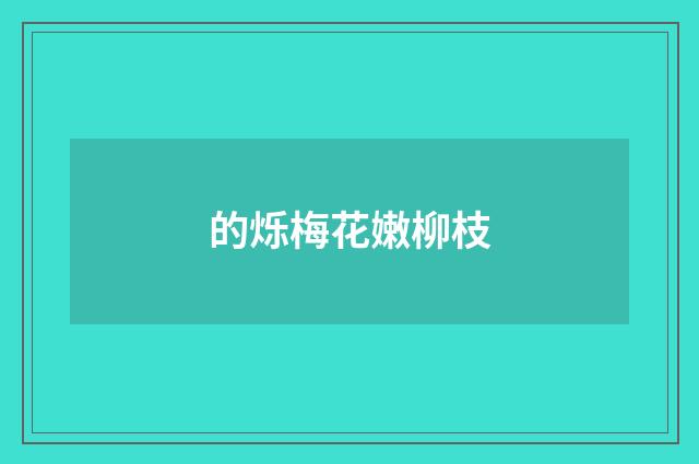 的烁梅花嫩柳枝