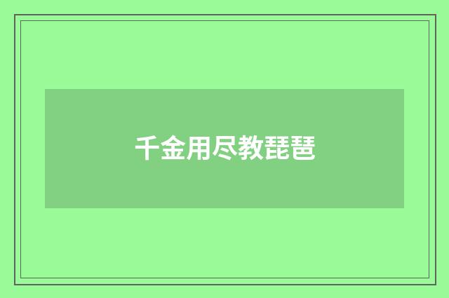千金用尽教琵琶