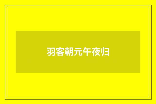 羽客朝元午夜归