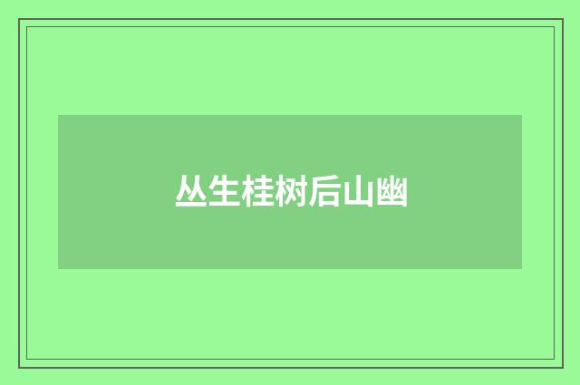 丛生桂树后山幽