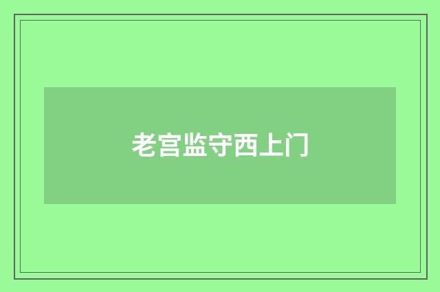 老宫监守西上门