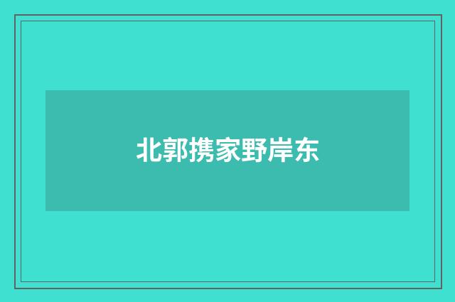 北郭携家野岸东
