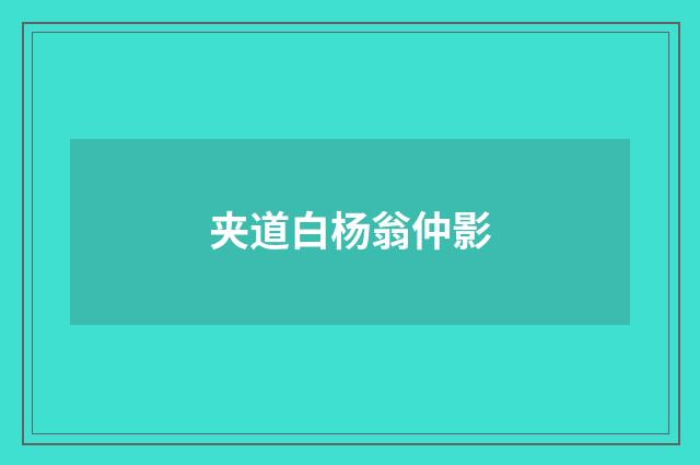 夹道白杨翁仲影