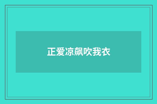 正爱凉飙吹我衣
