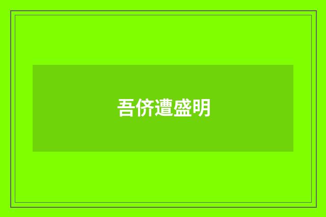 吾侪遭盛明