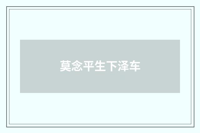 莫念平生下泽车