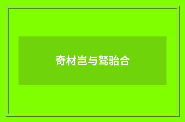 奇材岂与驽骀合