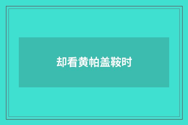 却看黄帕盖鞍时
